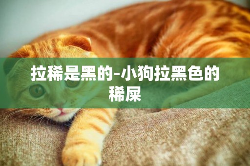 拉稀是黑的-小狗拉黑色的稀屎