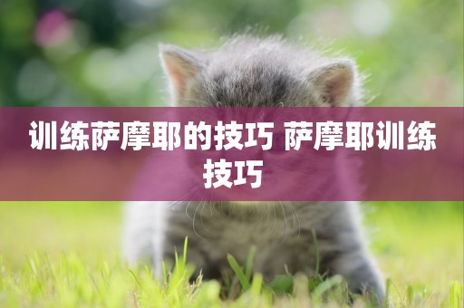 訓練薩摩耶的技巧 薩摩耶訓練技巧
