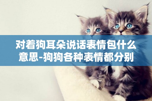 對著狗耳朵說話表情包什么意思-狗狗各種表情都分別代表著什么意思