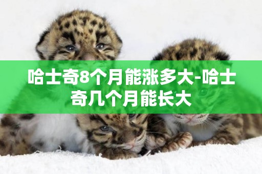 哈士奇8個月能漲多大-哈士奇幾個月能長大