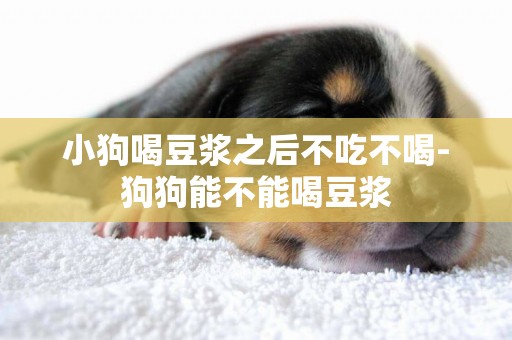 小狗喝豆漿之后不吃不喝-狗狗能不能喝豆漿