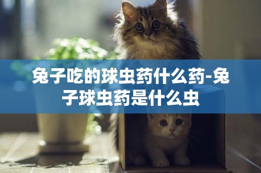 兔子吃的球蟲藥什么藥-兔子球蟲藥是什么蟲