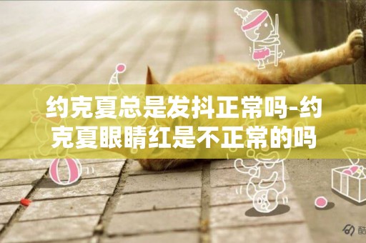 約克夏總是發抖正常嗎-約克夏眼睛紅是不正常的嗎