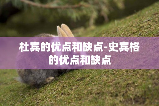 杜賓的優點和缺點-史賓格的優點和缺點