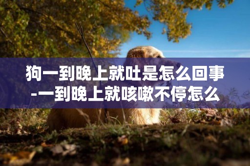 狗一到晚上就吐是怎么回事-一到晚上就咳嗽不停怎么回事