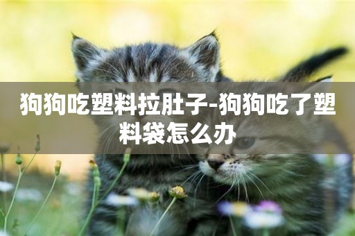 狗狗吃塑料拉肚子-狗狗吃了塑料袋怎么辦