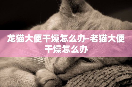 龍貓大便干燥怎么辦-老貓大便干燥怎么辦