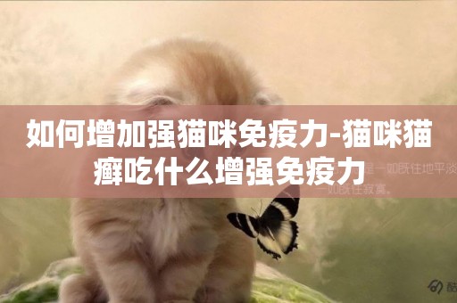 如何增加強貓咪免疫力-貓咪貓癬吃什么增強免疫力