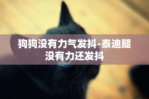 狗狗沒有力氣發抖-泰迪腿沒有力還發抖