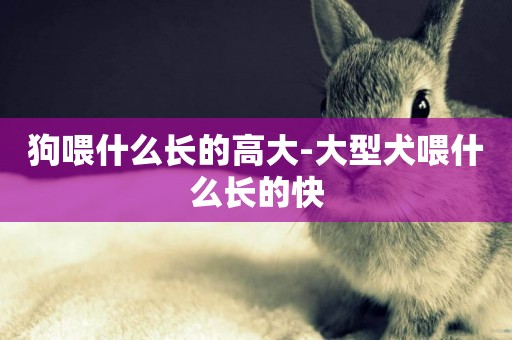 狗喂什么長的高大-大型犬喂什么長的快