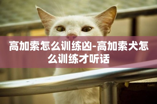 高加索怎么訓練兇-高加索犬怎么訓練才聽話
