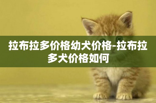 拉布拉多價格幼犬價格-拉布拉多犬價格如何