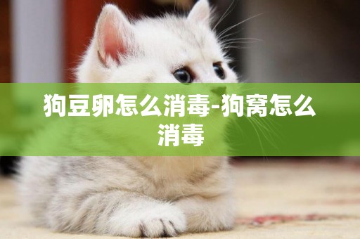 狗豆卵怎么消毒-狗窩怎么消毒