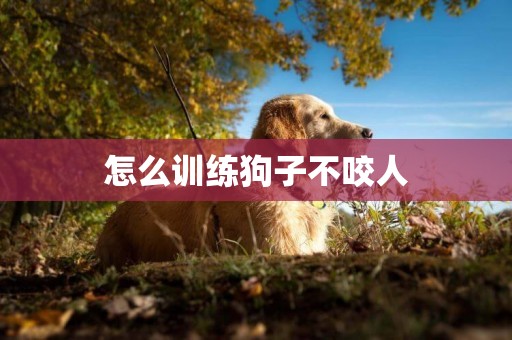怎么訓練狗子不咬人