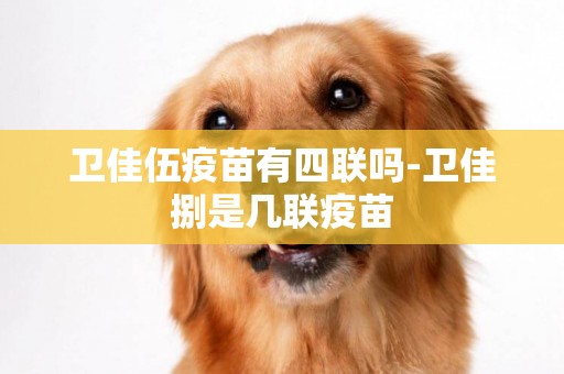衛佳伍疫苗有四聯嗎-衛佳捌是幾聯疫苗