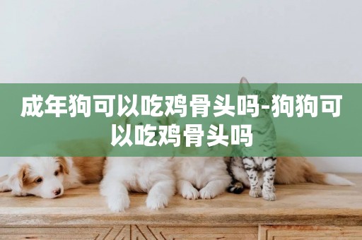 成年狗可以吃雞骨頭嗎-狗狗可以吃雞骨頭嗎