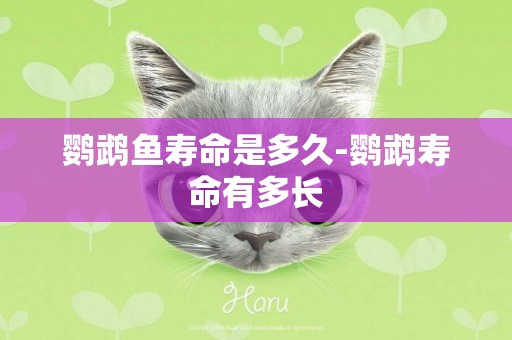 鸚鵡魚壽命是多久-鸚鵡壽命有多長