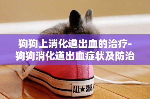 狗狗上消化道出血的治療-狗狗消化道出血癥狀及防治