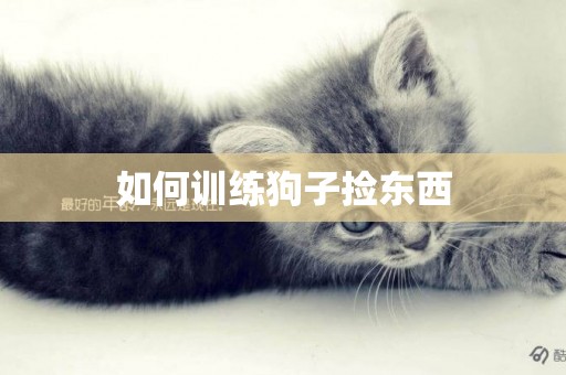 如何訓練狗子撿東西