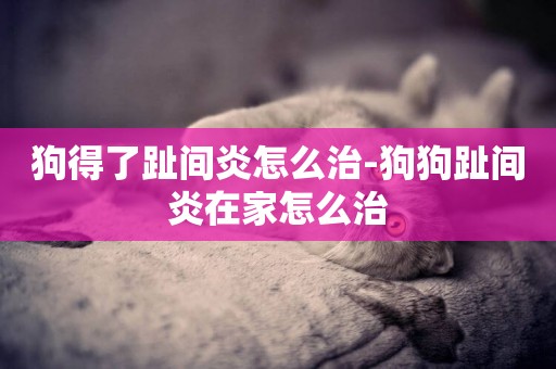 狗得了趾間炎怎么治-狗狗趾間炎在家怎么治
