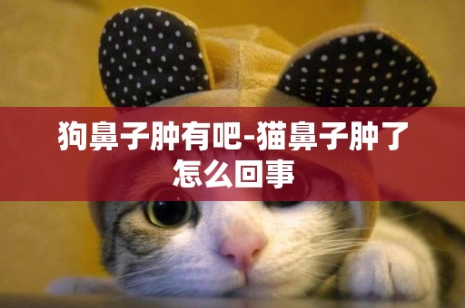 狗鼻子腫有吧-貓鼻子腫了怎么回事