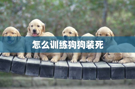 怎么訓練狗狗裝死