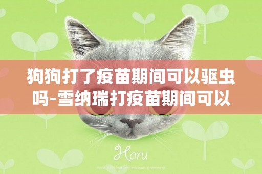 狗狗打了疫苗期間可以驅蟲嗎-雪納瑞打疫苗期間可以洗澡嗎