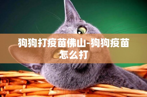 狗狗打疫苗佛山-狗狗疫苗怎么打