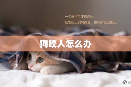 狗咬人怎么辦