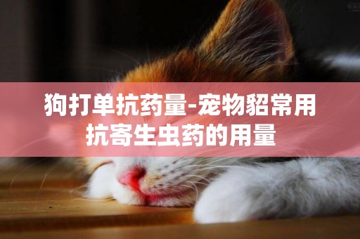 狗打單抗藥量-寵物貂常用抗寄生蟲藥的用量