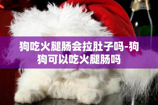 狗吃火腿腸會拉肚子嗎-狗狗可以吃火腿腸嗎