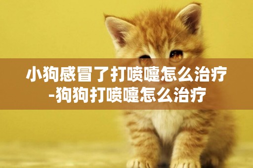 小狗感冒了打噴嚏怎么治療-狗狗打噴嚏怎么治療