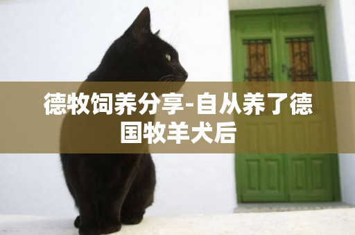 德牧飼養分享-自從養了德國牧羊犬后