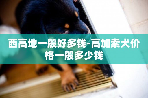 西高地一般好多錢-高加索犬價格一般多少錢