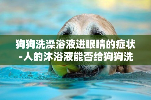 狗狗洗澡浴液進眼睛的癥狀-人的沐浴液能否給狗狗洗澡