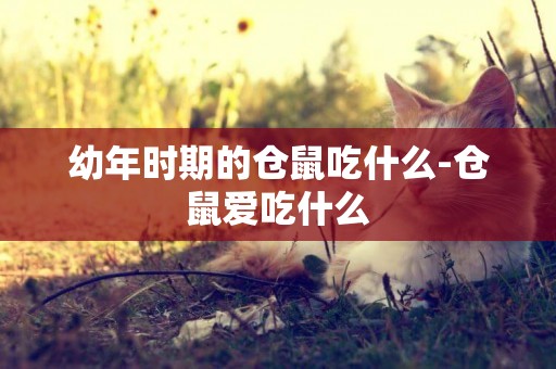 幼年時期的倉鼠吃什么-倉鼠愛吃什么