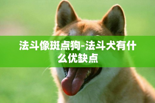 法斗像斑點狗-法斗犬有什么優缺點