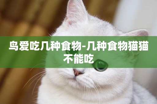鳥愛吃幾種食物-幾種食物貓貓不能吃