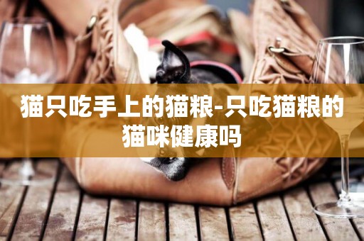 貓只吃手上的貓糧-只吃貓糧的貓咪健康嗎