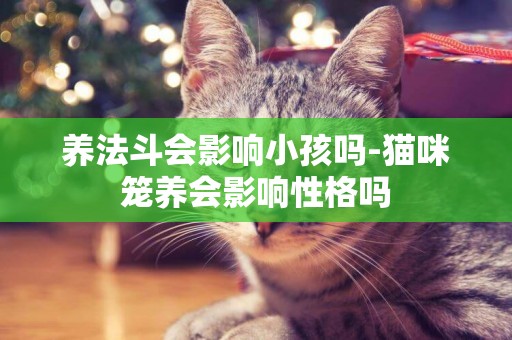 養法斗會影響小孩嗎-貓咪籠養會影響性格嗎
