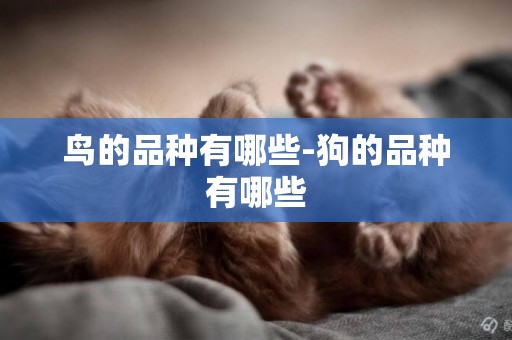 鳥的品種有哪些-狗的品種有哪些