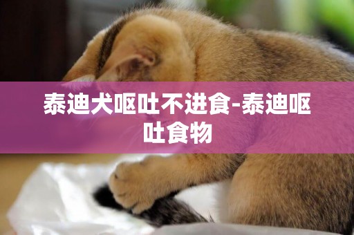 泰迪犬嘔吐不進食-泰迪嘔吐食物