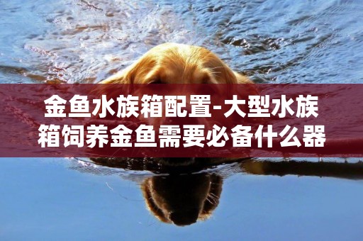 金魚水族箱配置-大型水族箱飼養金魚需要必備什么器具