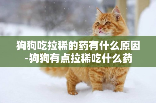 狗狗吃拉稀的藥有什么原因-狗狗有點拉稀吃什么藥