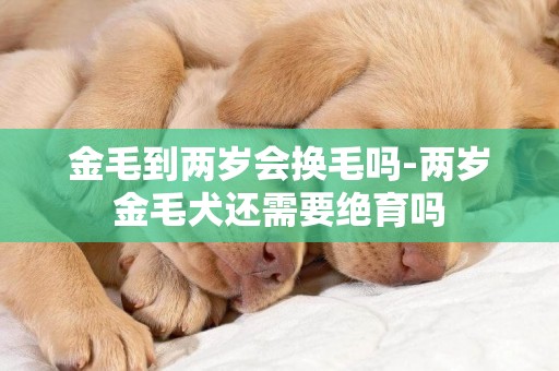 金毛到兩歲會換毛嗎-兩歲金毛犬還需要絕育嗎