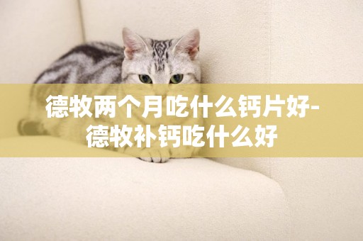 德牧兩個月吃什么鈣片好-德牧補鈣吃什么好