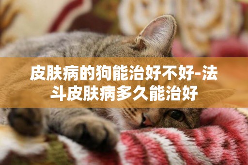 皮膚病的狗能治好不好-法斗皮膚病多久能治好