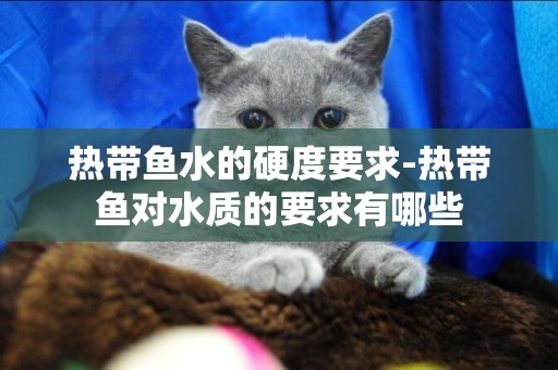 熱帶魚水的硬度要求-熱帶魚對水質的要求有哪些