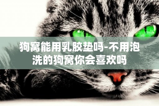 狗窩能用乳膠墊嗎-不用泡洗的狗窩你會喜歡嗎