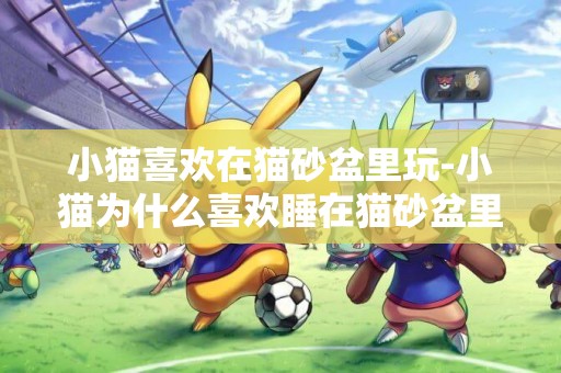 小貓喜歡在貓砂盆里玩-小貓為什么喜歡睡在貓砂盆里